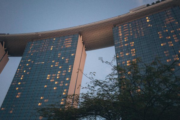 Le choix parfait : Guide expert des smartphones pour seniors